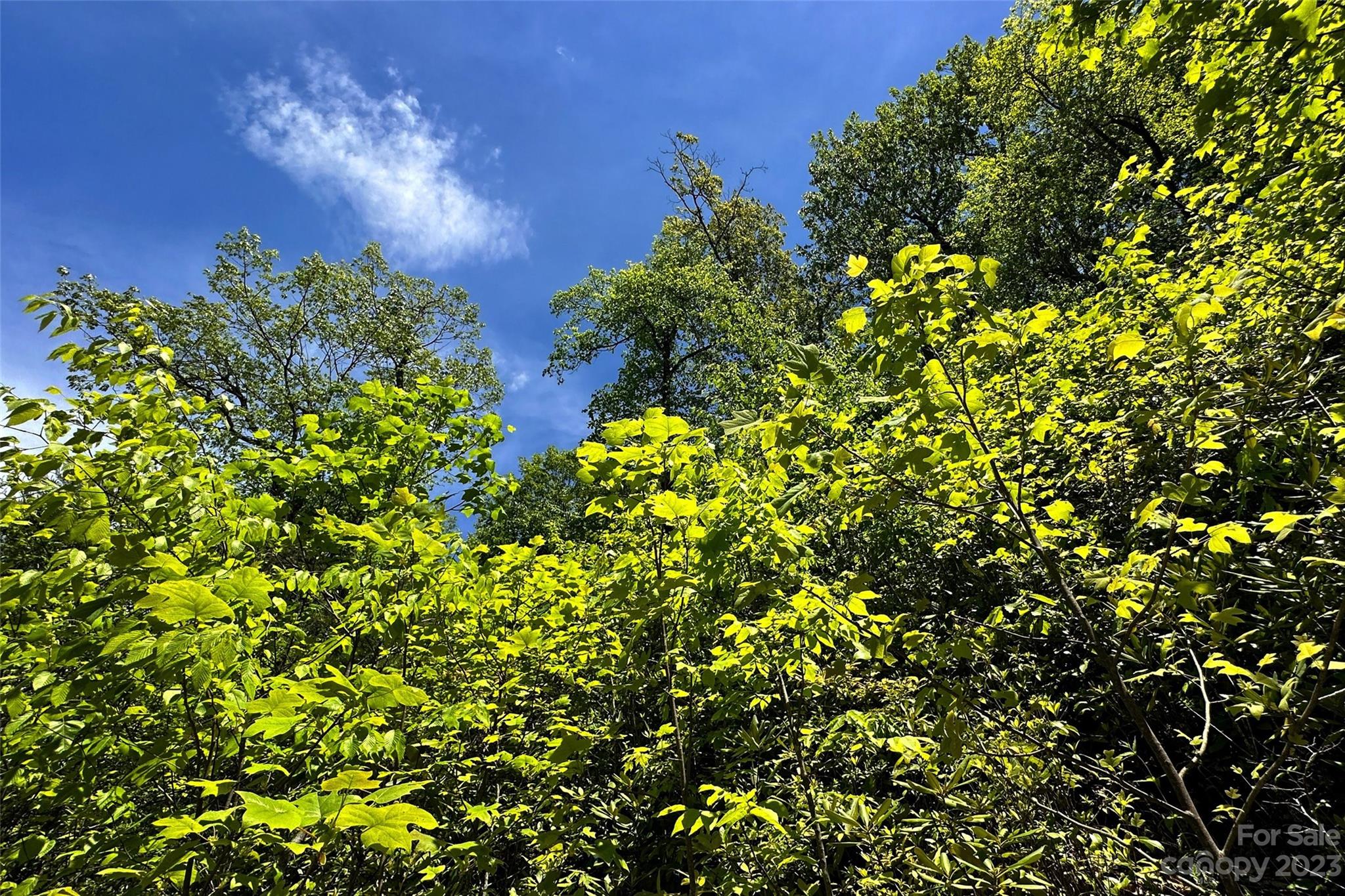 959 Nicey Gap Road Old Fort NC 28762