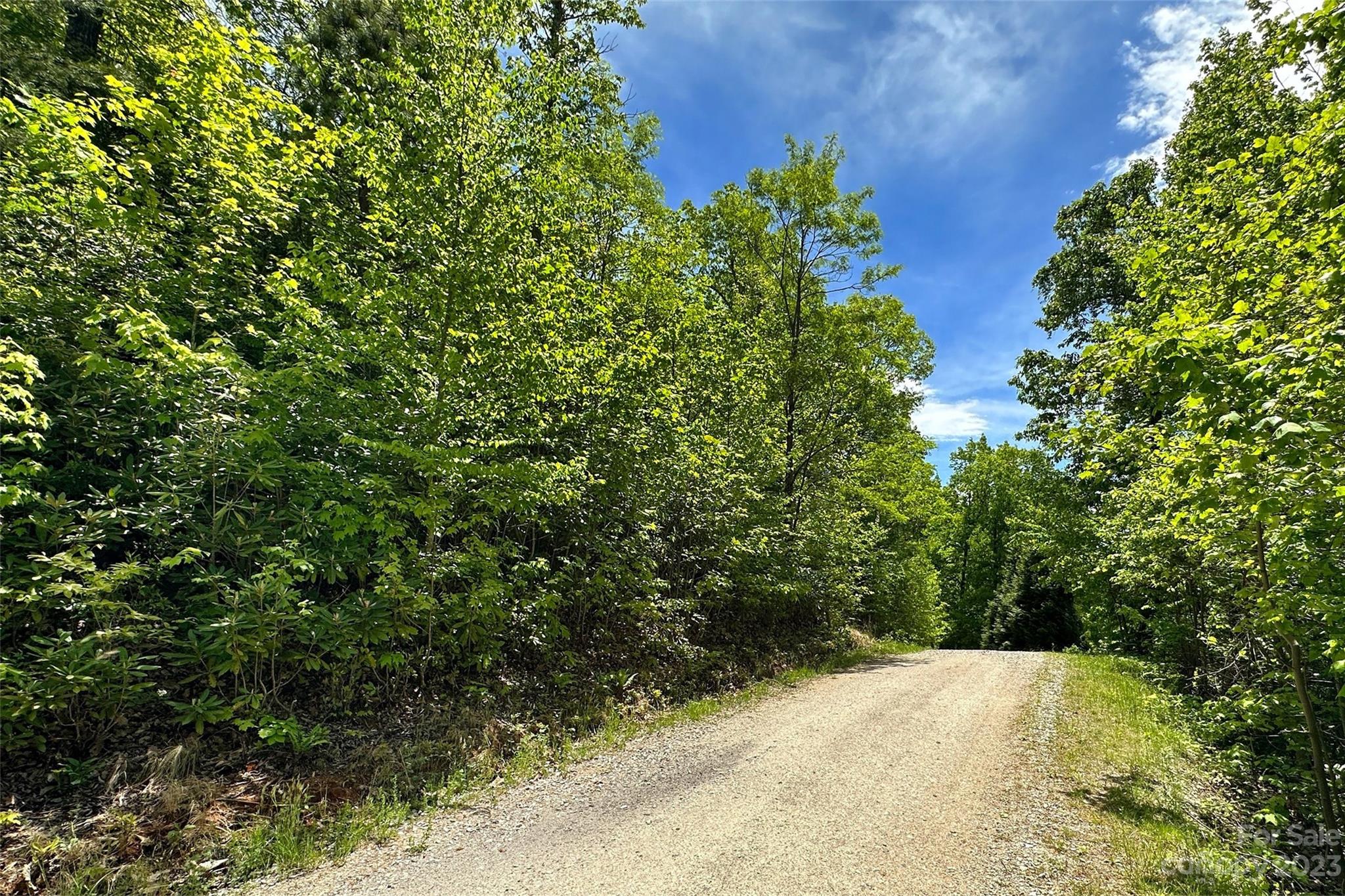 959 Nicey Gap Road Old Fort NC 28762