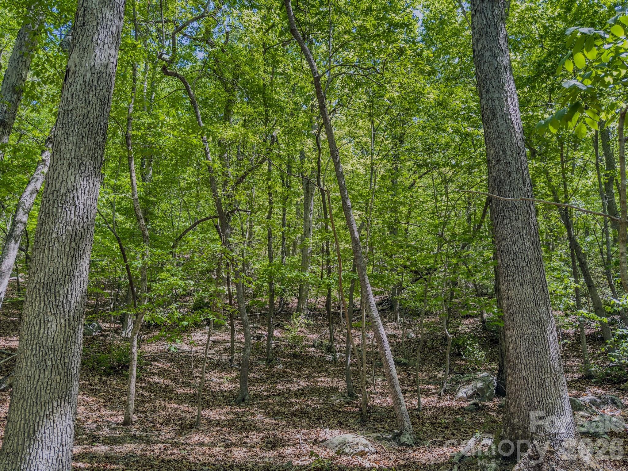 0 Sunset Drive N Asheboro NC 27205