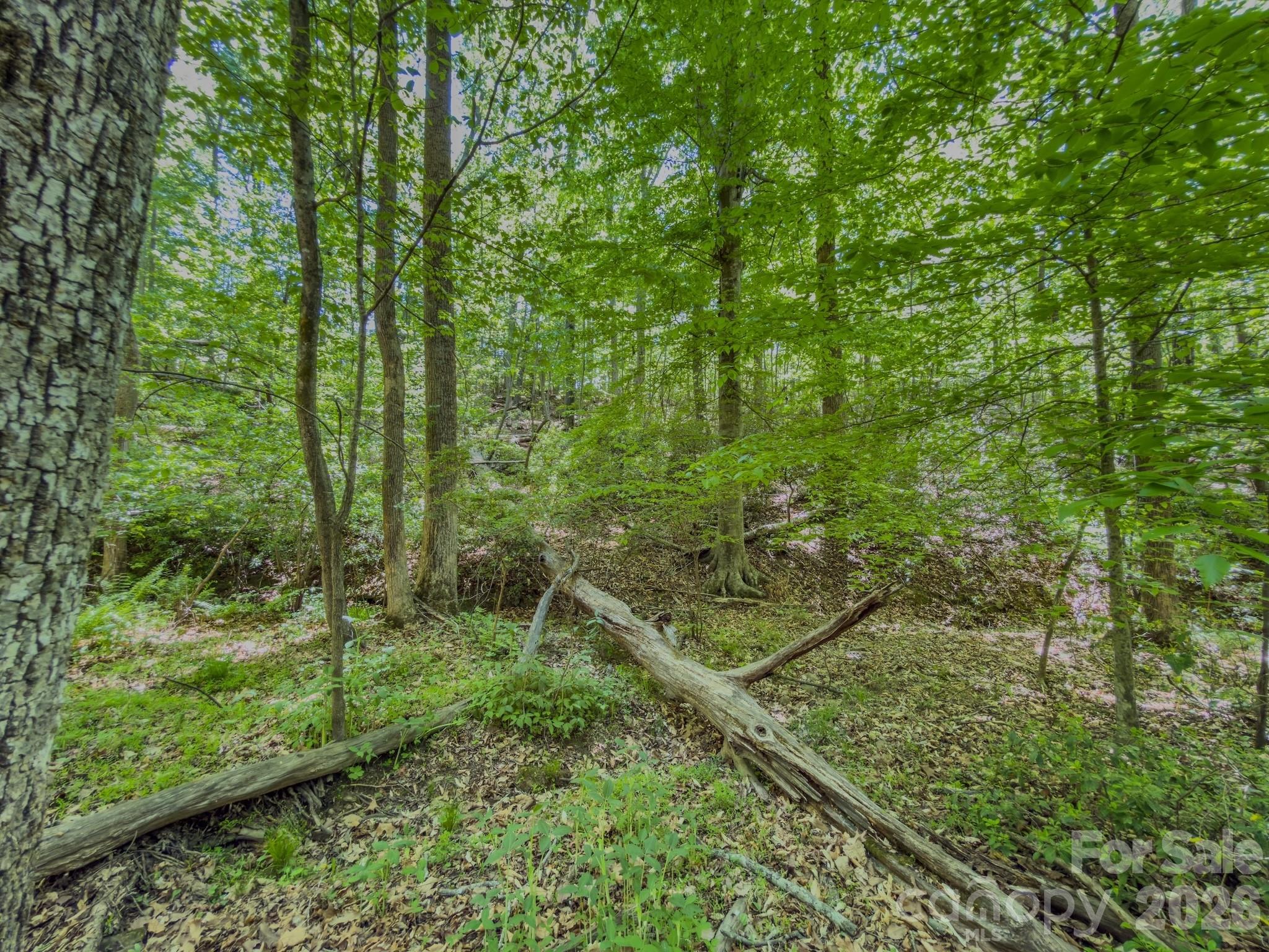 0 Sunset Drive N Asheboro NC 27205