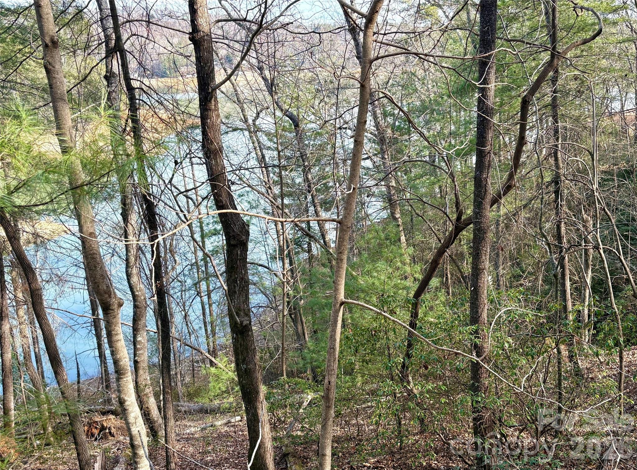 0 Falls View Trail Lake Lure NC 28746