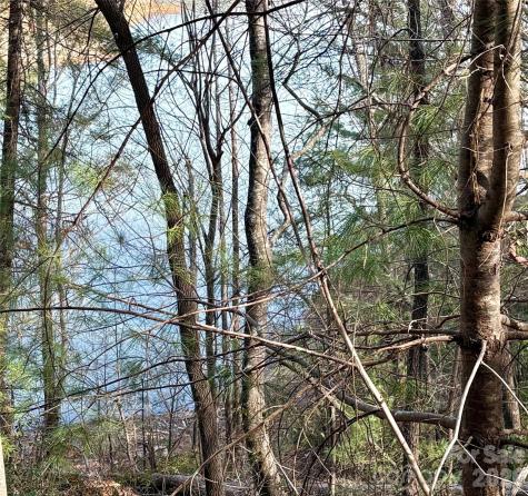 0 Falls View Trail Lake Lure NC 28746