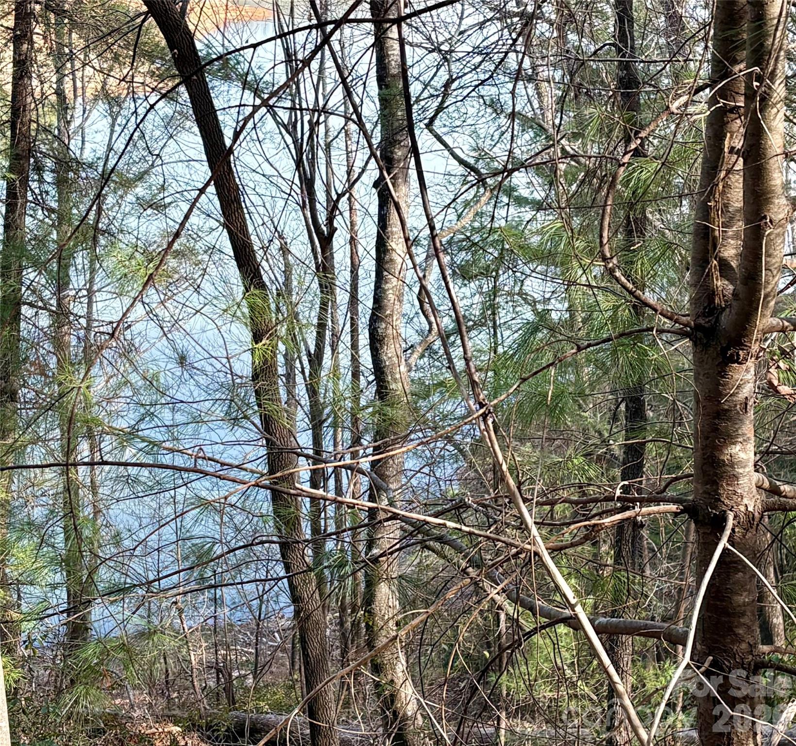 0 Falls View Trail Lake Lure NC 28746