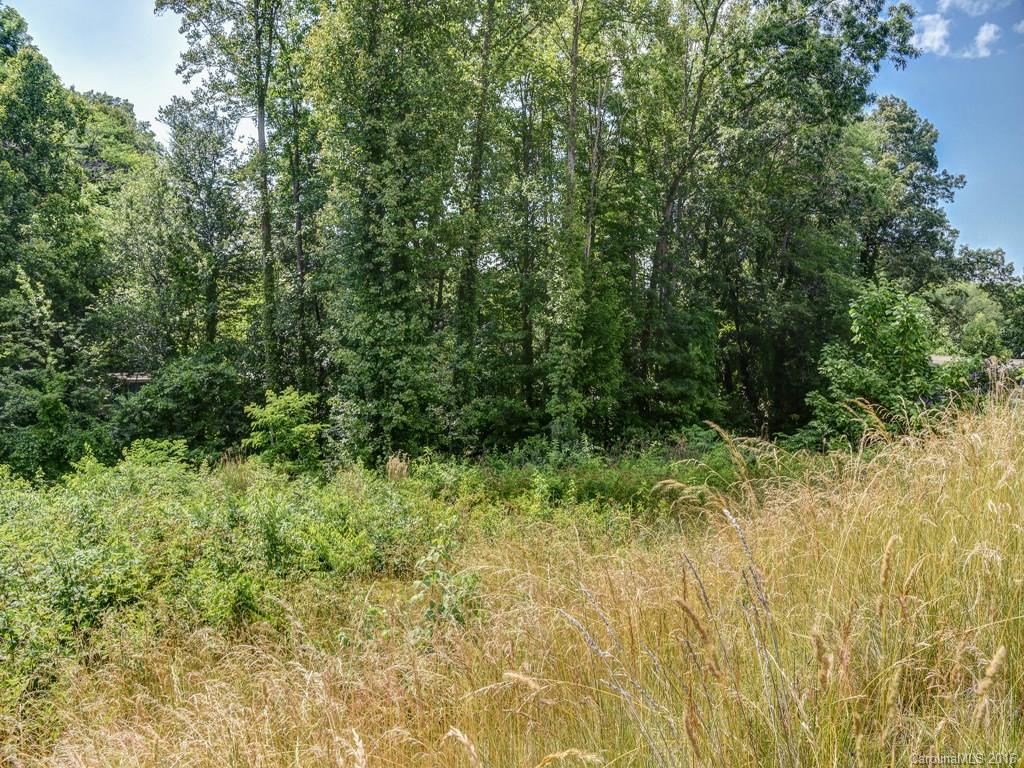 17 Chapel Park Place Asheville NC 28803