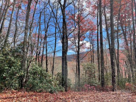 Lot 24 Ridge Trail Drive Balsam Grove NC 28708