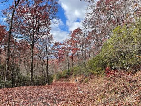 Lot 24 Ridge Trail Drive Balsam Grove NC 28708