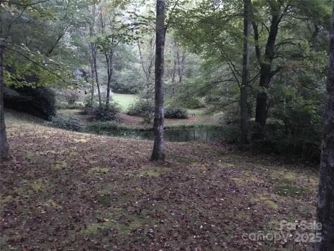 Lot 24 Ridge Trail Drive Balsam Grove NC 28708