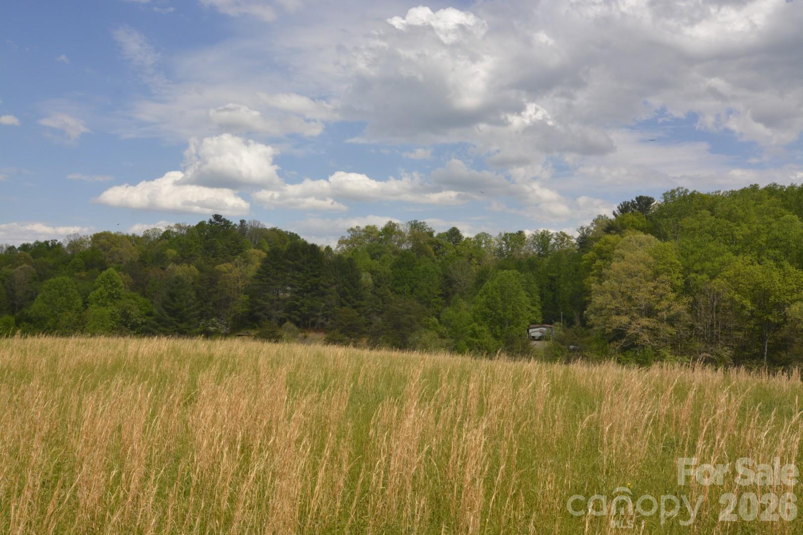 16 Rocking Chair Lane Leicester NC 28748