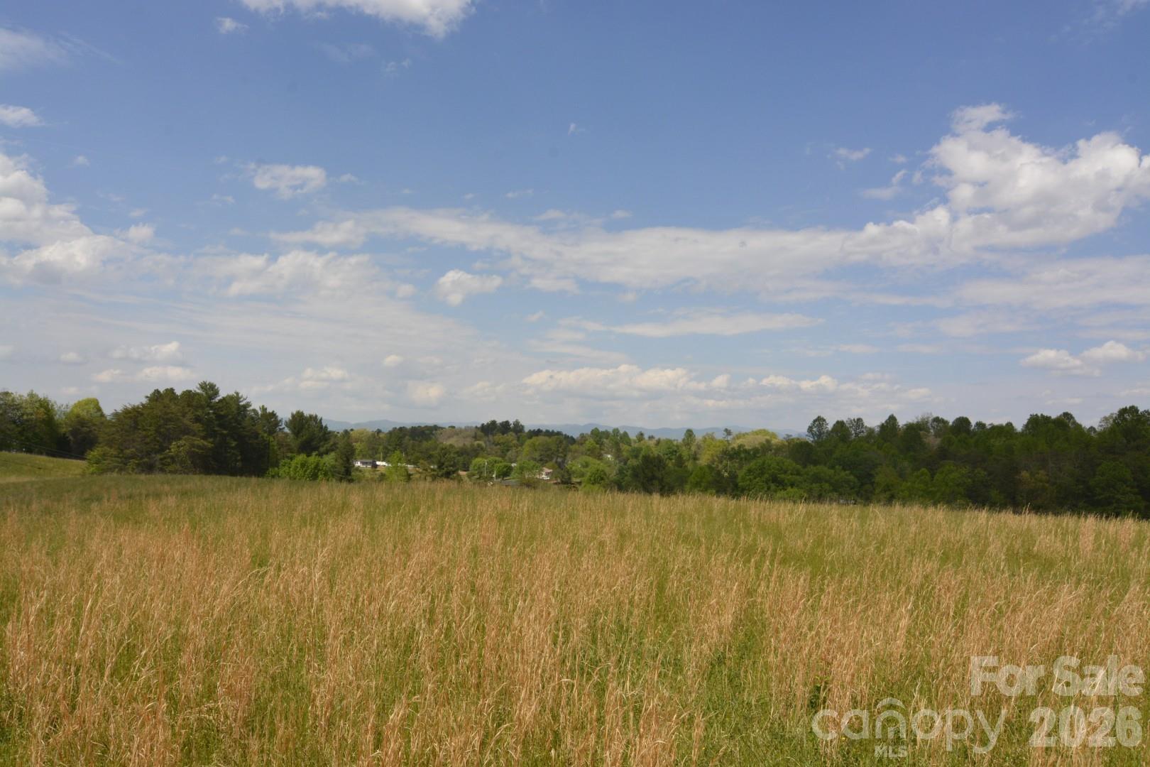 16 Rocking Chair Lane Leicester NC 28748
