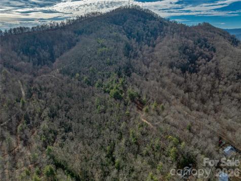99999 High Top Mountain Road Leicester NC 28748