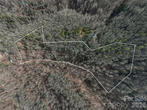99999 High Top Mountain Road Leicester NC 28748