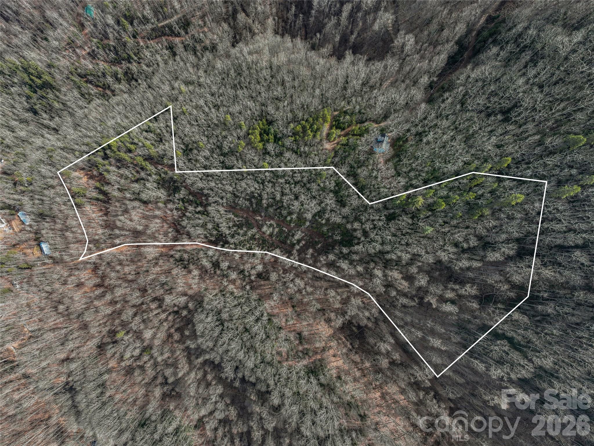 99999 High Top Mountain Road Leicester NC 28748