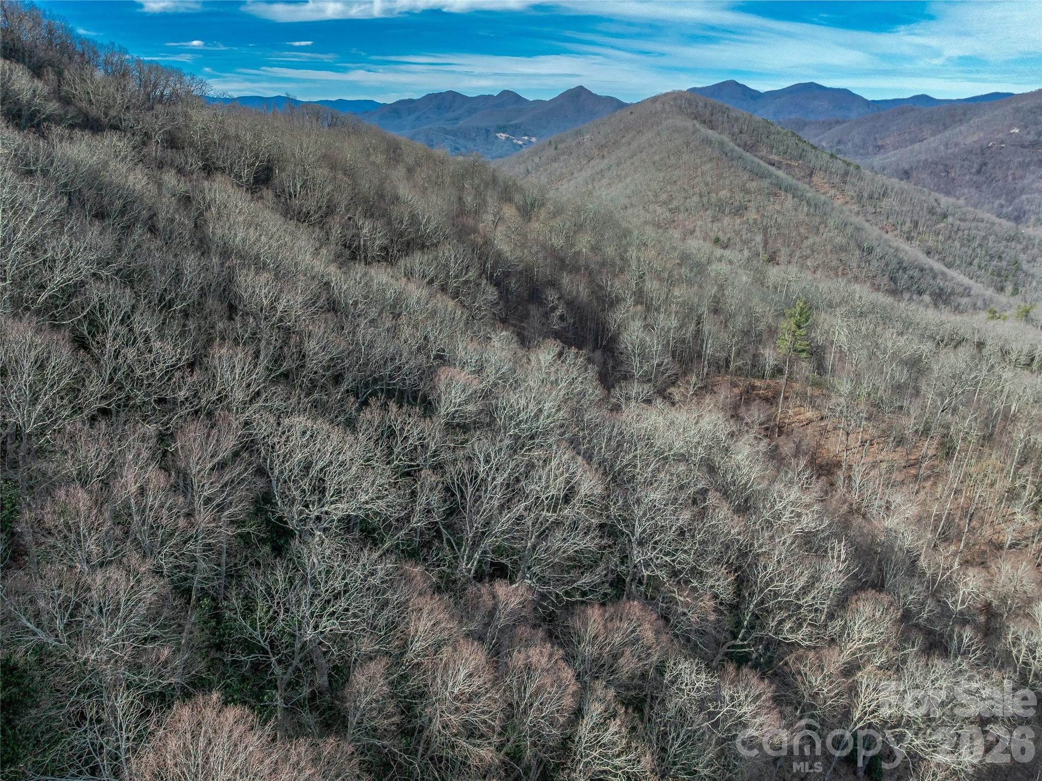 99999 High Top Mountain Road Leicester NC 28748