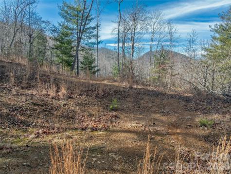 99999 High Top Mountain Road Leicester NC 28748