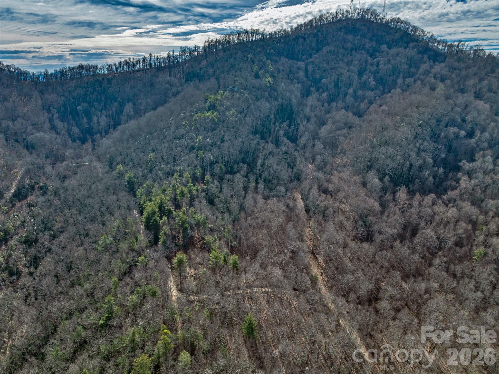 99999 High Top Mountain Road Leicester NC 28748