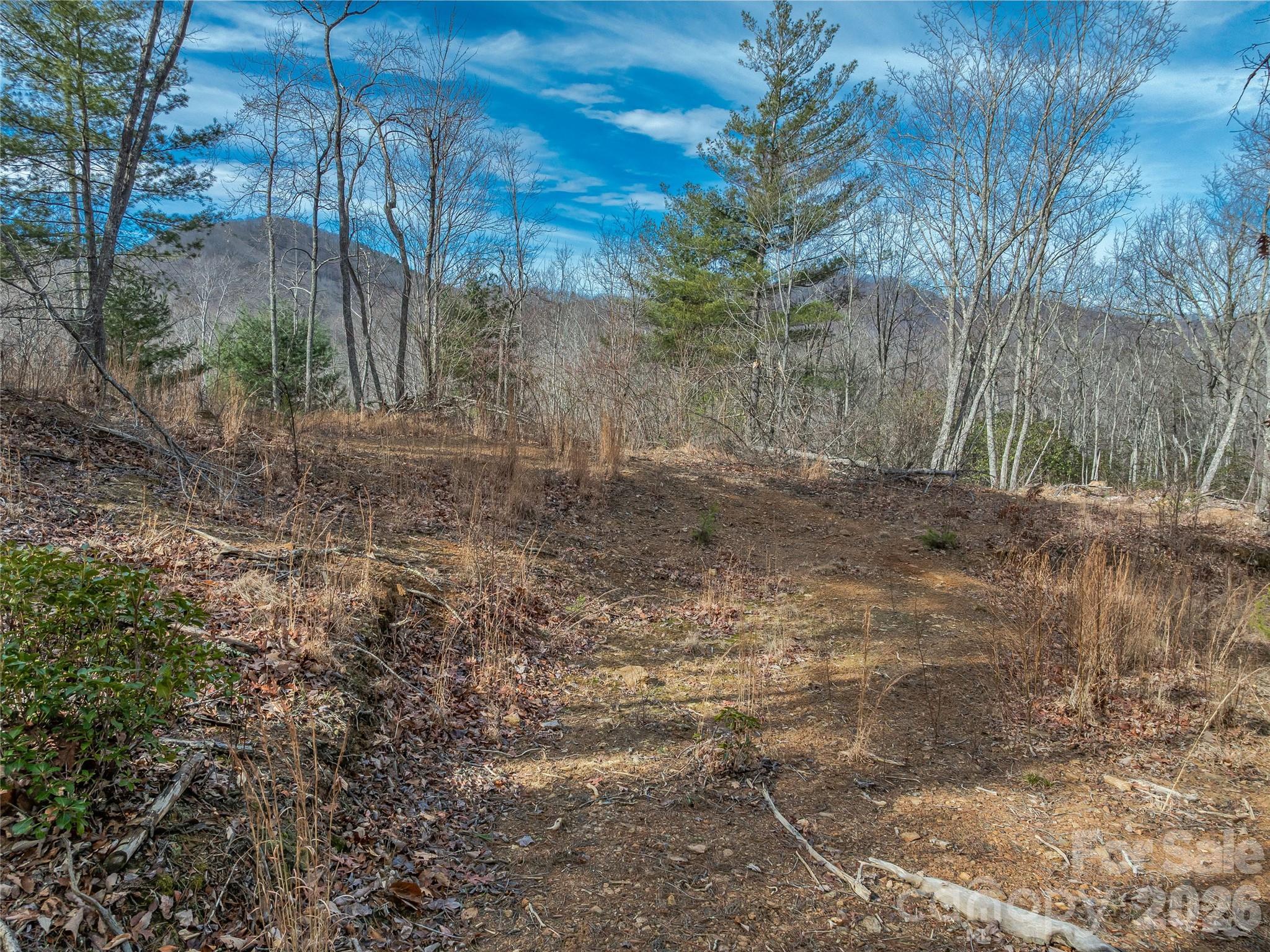 99999 High Top Mountain Road Leicester NC 28748