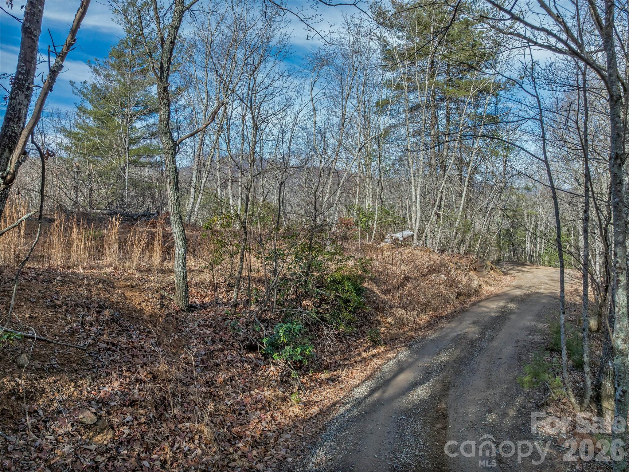 99999 High Top Mountain Road Leicester NC 28748