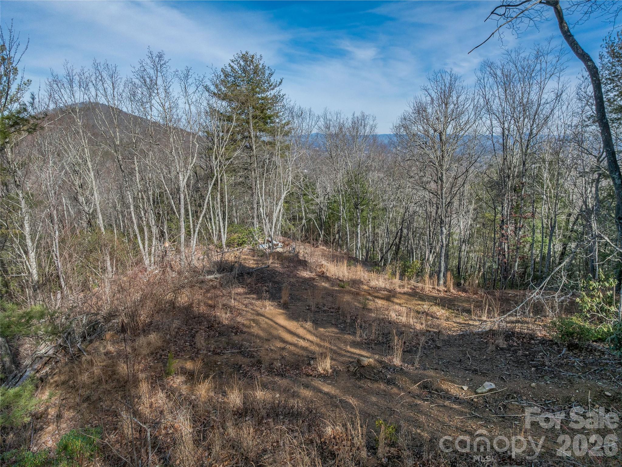99999 High Top Mountain Road Leicester NC 28748