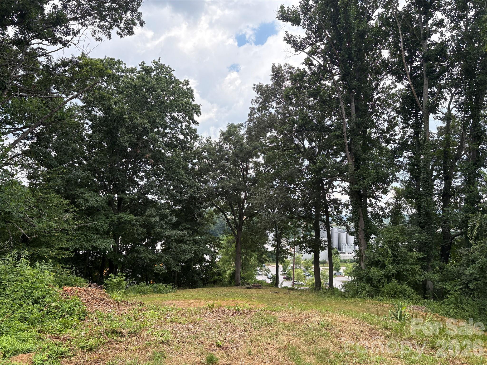 53 Logan Circle Asheville NC 28806