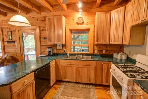 8020 Meadow Fork Road Hot Springs NC 28743