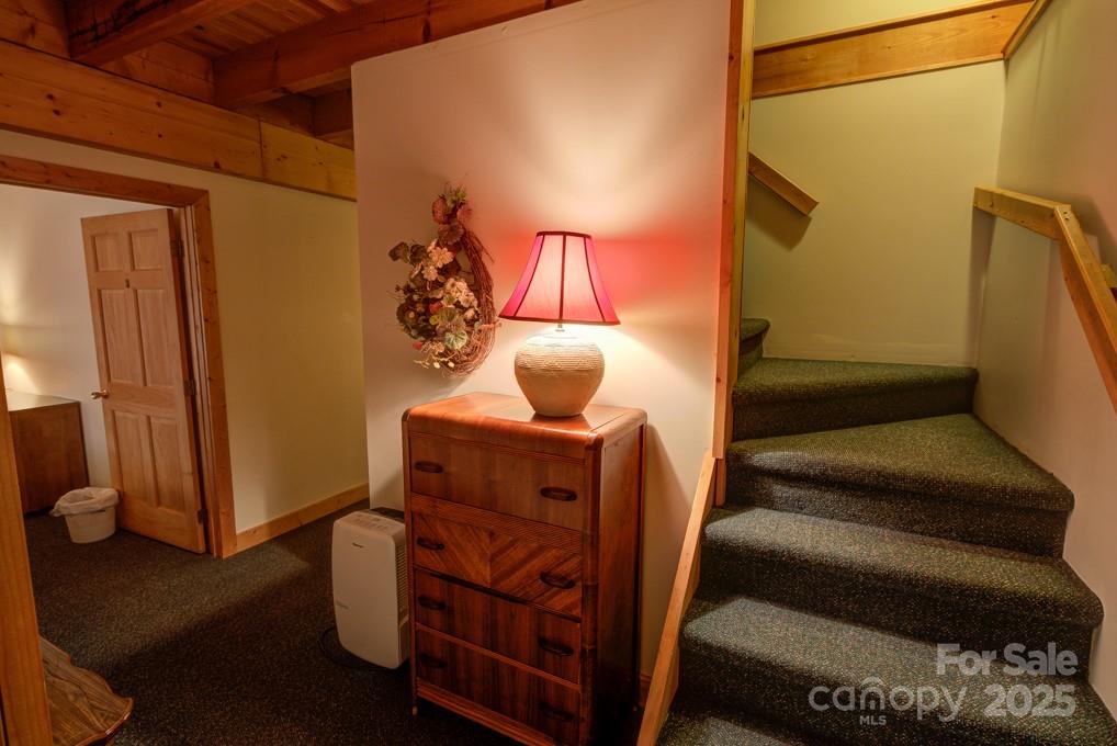 8020 Meadow Fork Road Hot Springs NC 28743