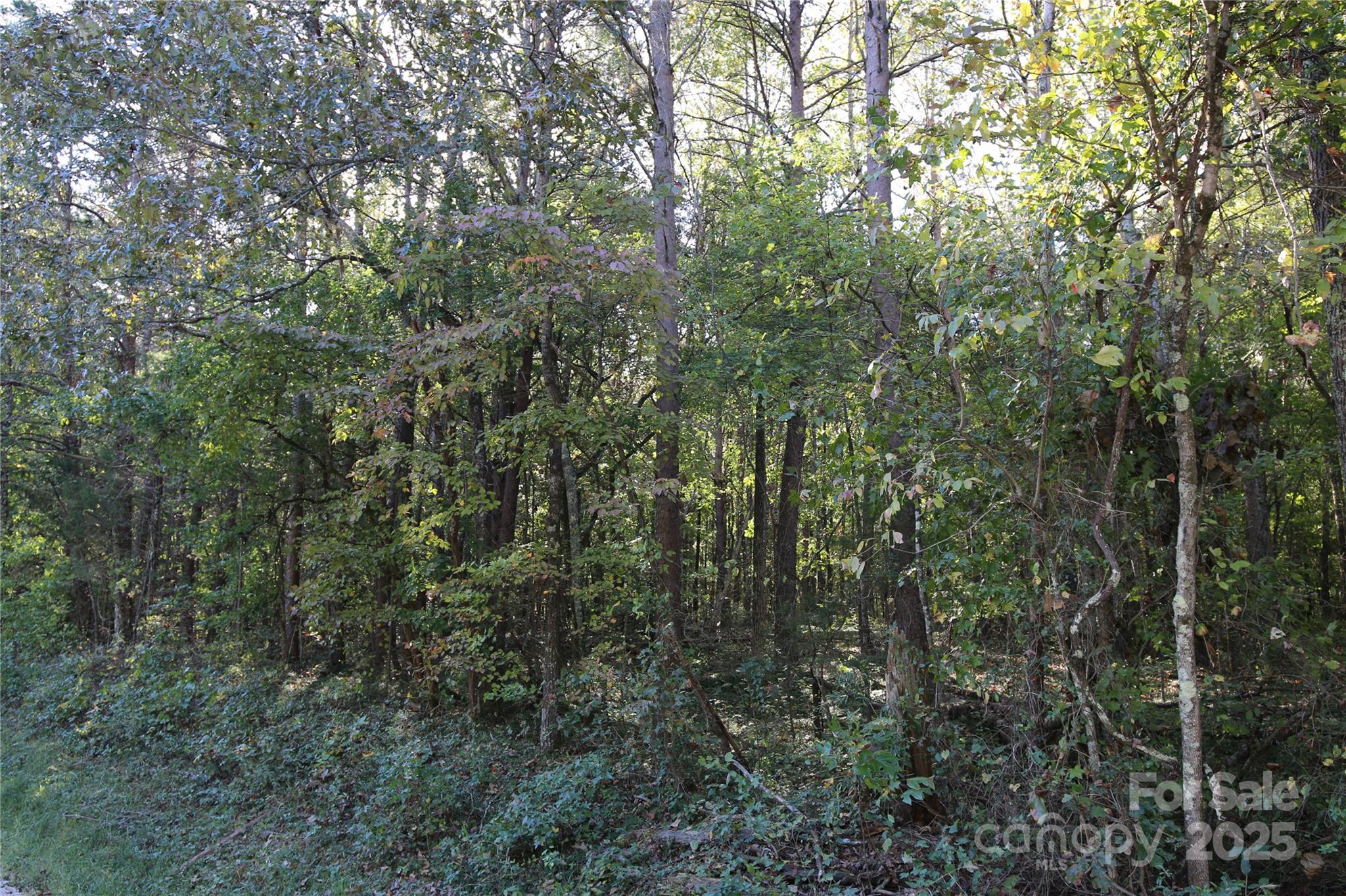 0 Tobas Road Rockwell NC 28138