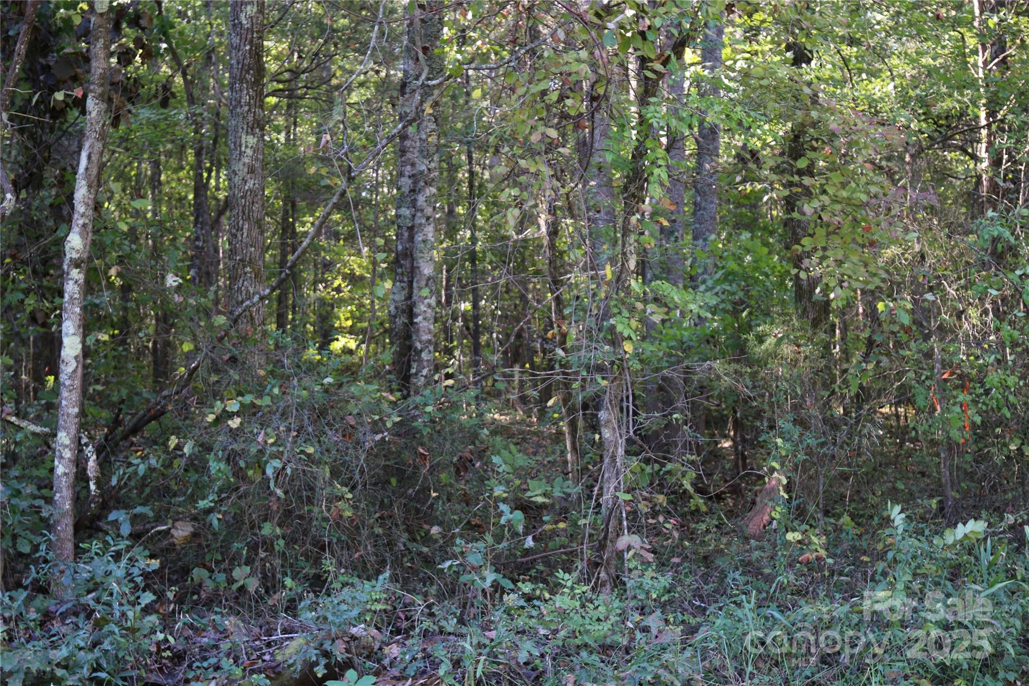 0 Tobas Road Rockwell NC 28138