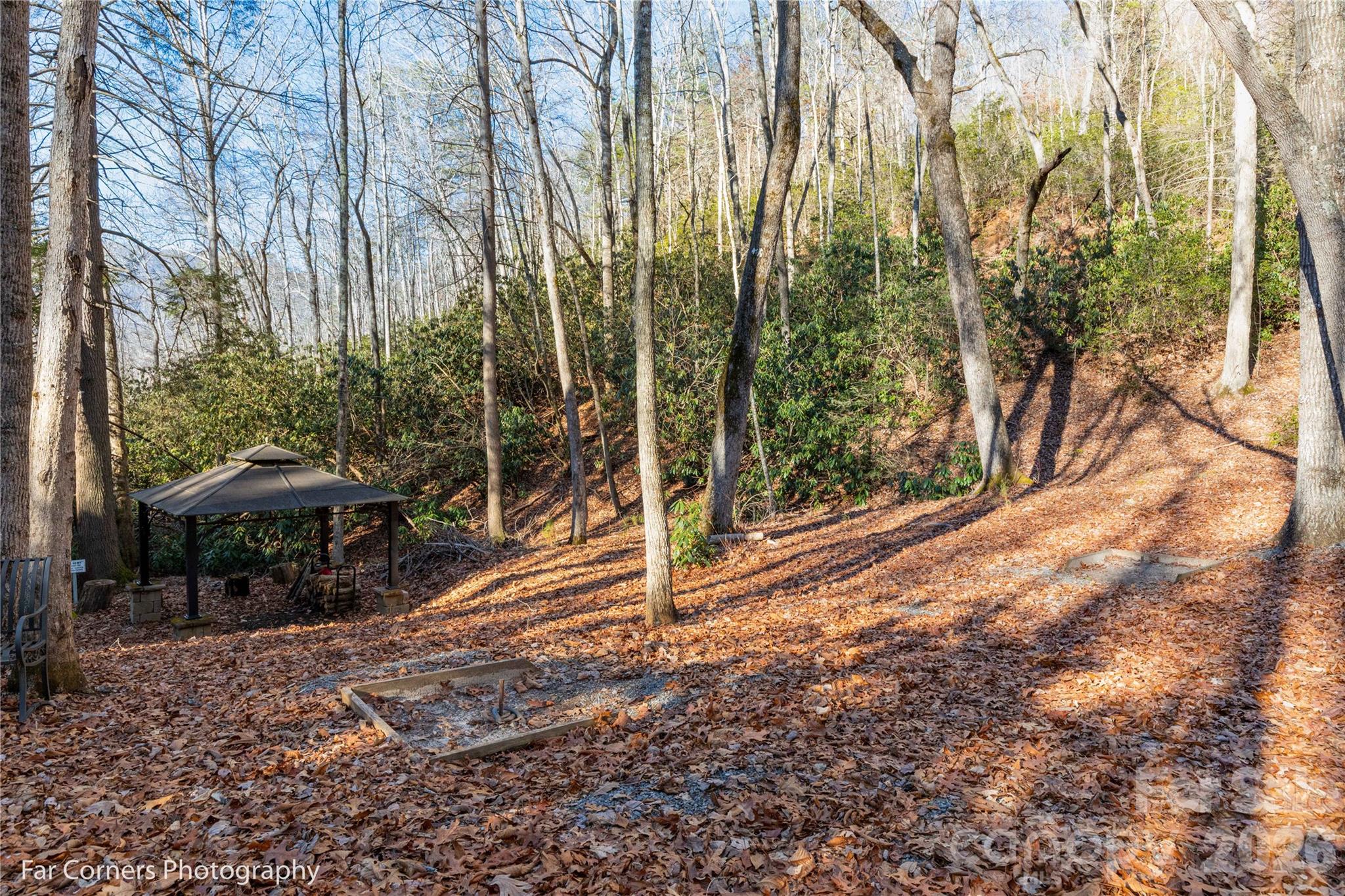 99999 Sourwood Road Canton NC 28716