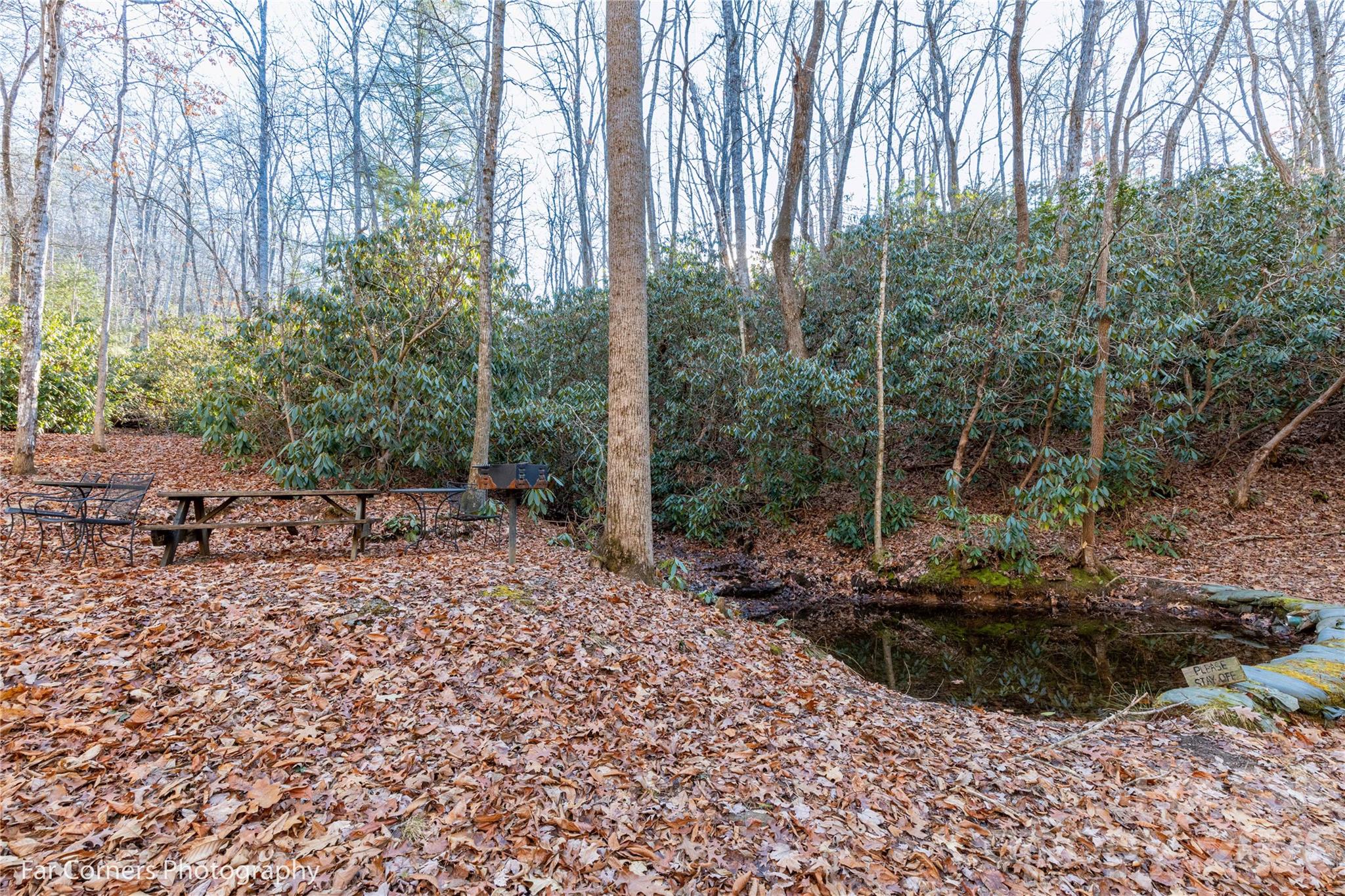 99999 Sourwood Road Canton NC 28716