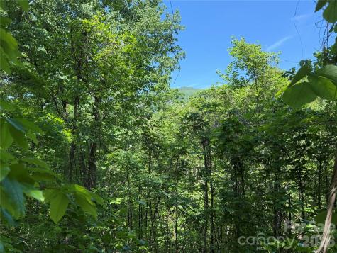 0 Buffalo Shoals Road Lake Lure NC 28746