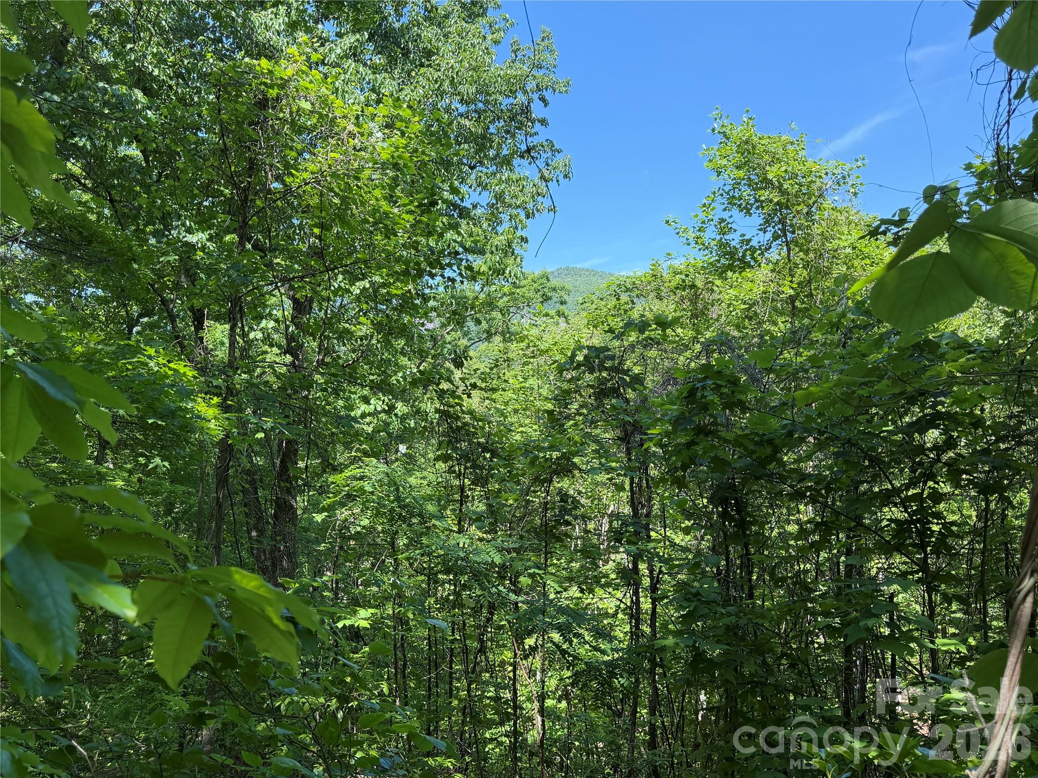 0 Buffalo Shoals Road Lake Lure NC 28746