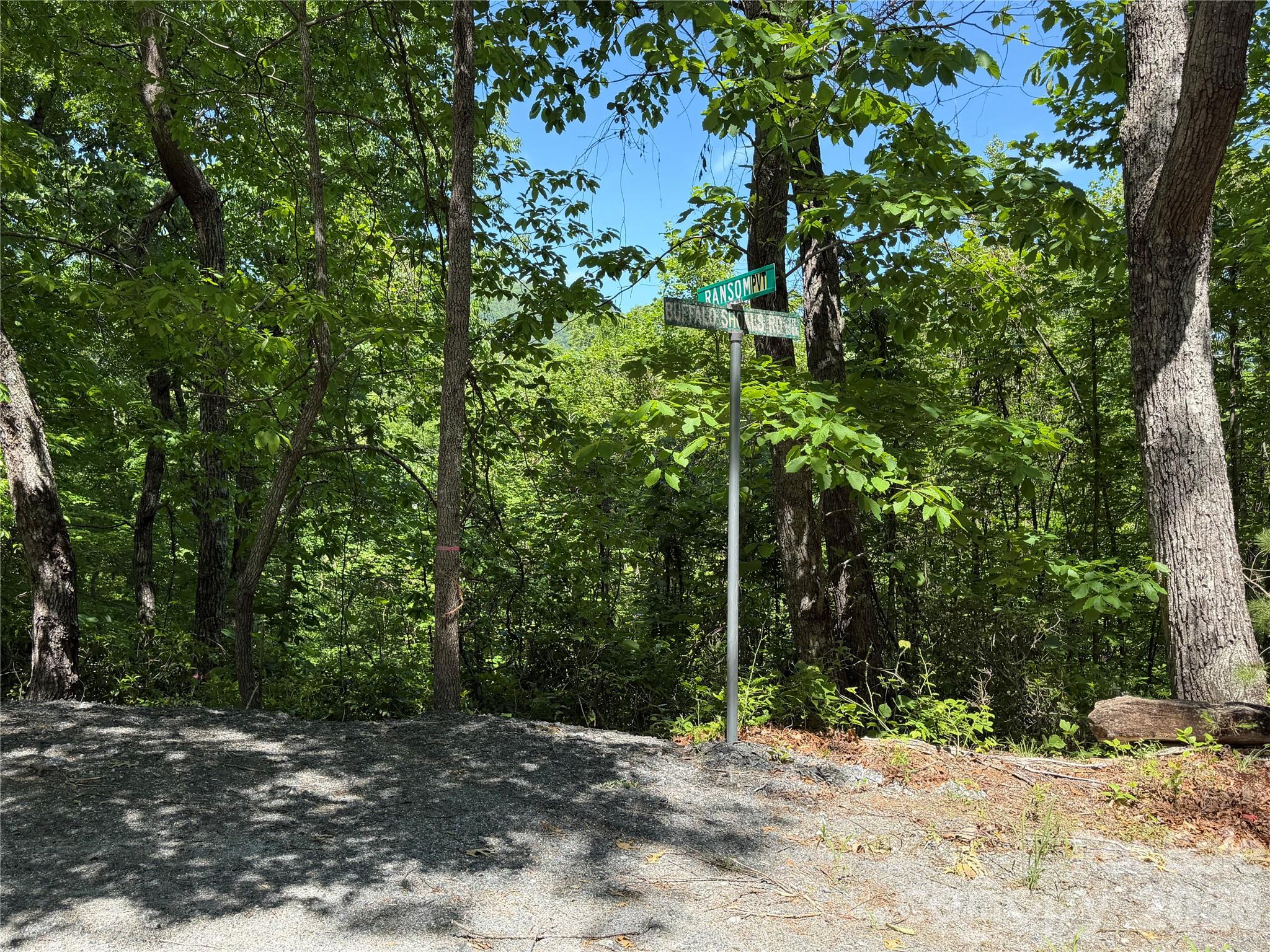 0 Buffalo Shoals Road Lake Lure NC 28746
