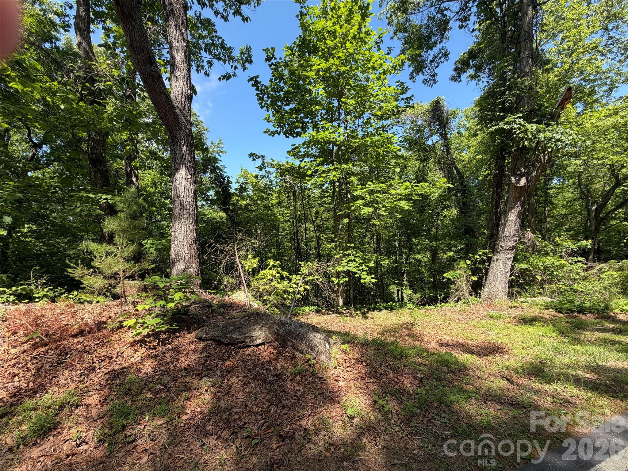 0 Buffalo Shoals Road Lake Lure NC 28746