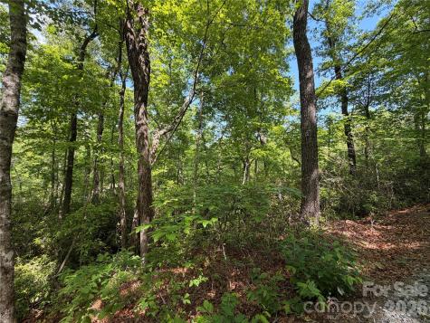 0 Buffalo Shoals Road Lake Lure NC 28746