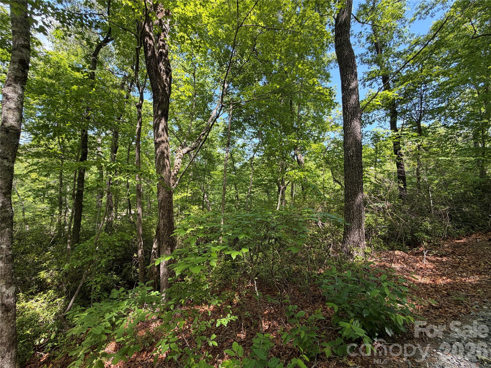 0 Buffalo Shoals Road Lake Lure NC 28746