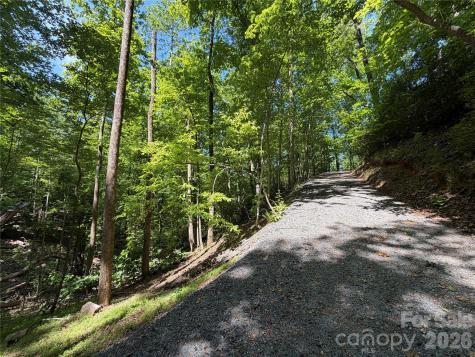 0 Buffalo Shoals Road Lake Lure NC 28746