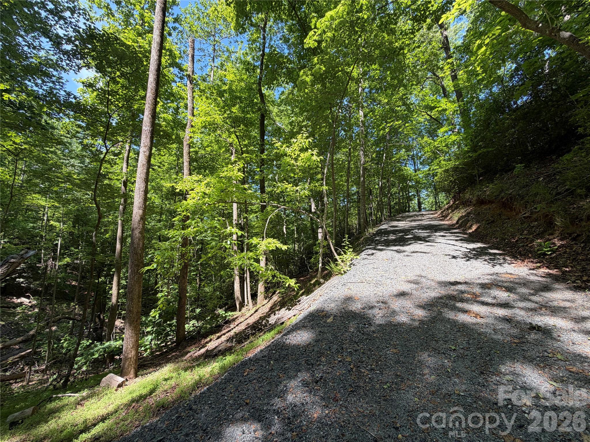 0 Buffalo Shoals Road Lake Lure NC 28746