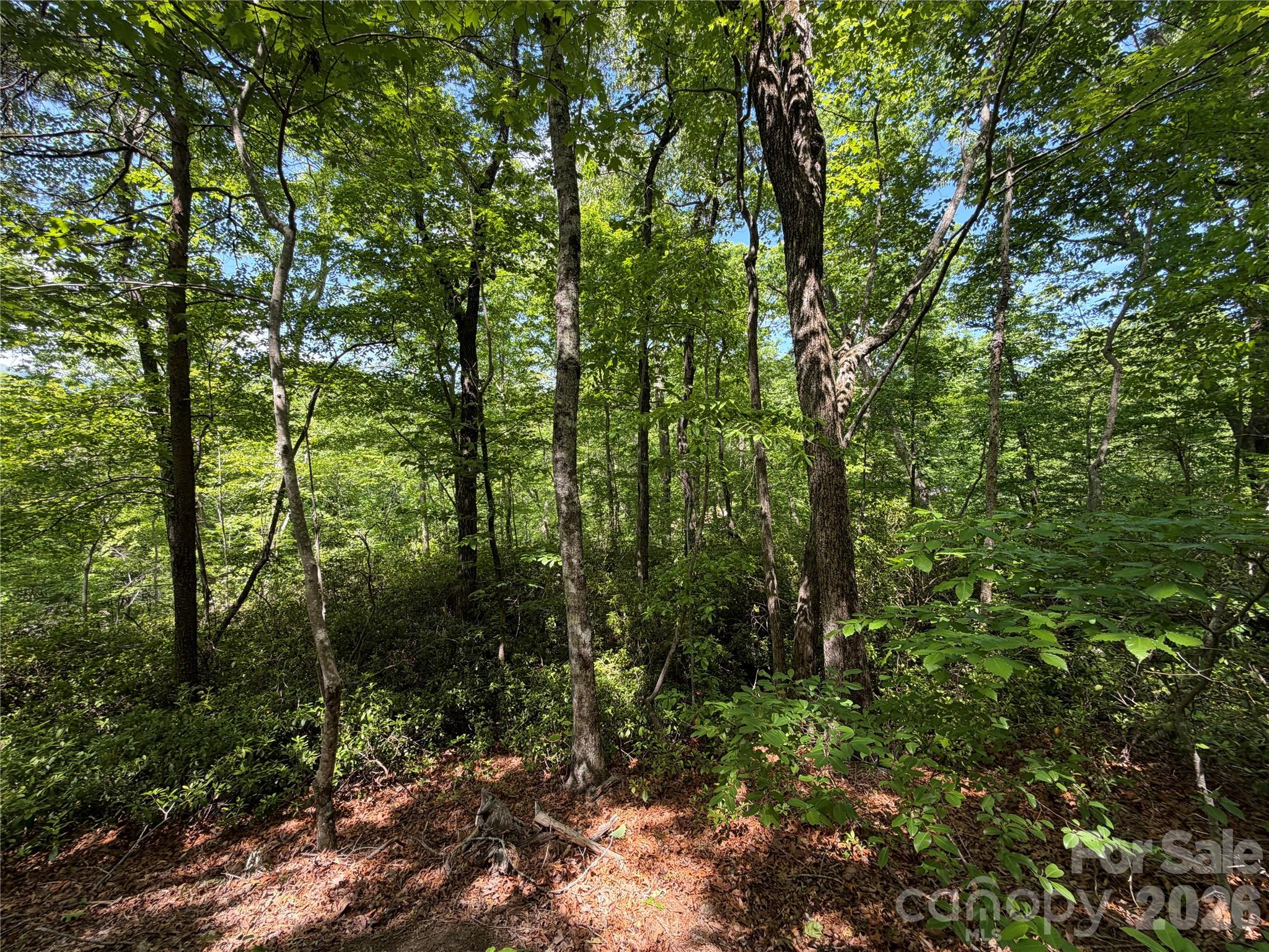 0 Buffalo Shoals Road Lake Lure NC 28746