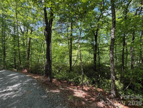 0 Buffalo Shoals Road Lake Lure NC 28746