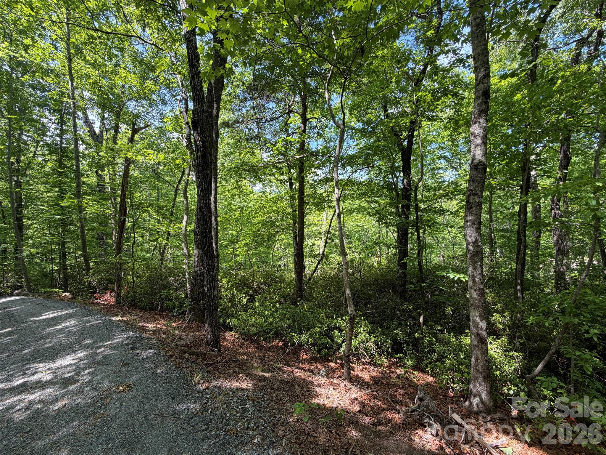 0 Buffalo Shoals Road Lake Lure NC 28746
