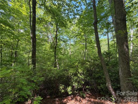 0 Buffalo Shoals Road Lake Lure NC 28746