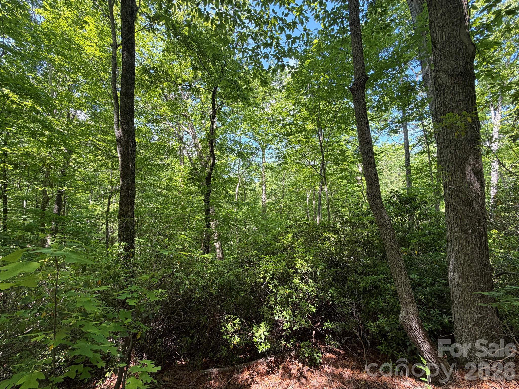 0 Buffalo Shoals Road Lake Lure NC 28746