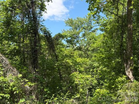 0 Buffalo Shoals Road Lake Lure NC 28746