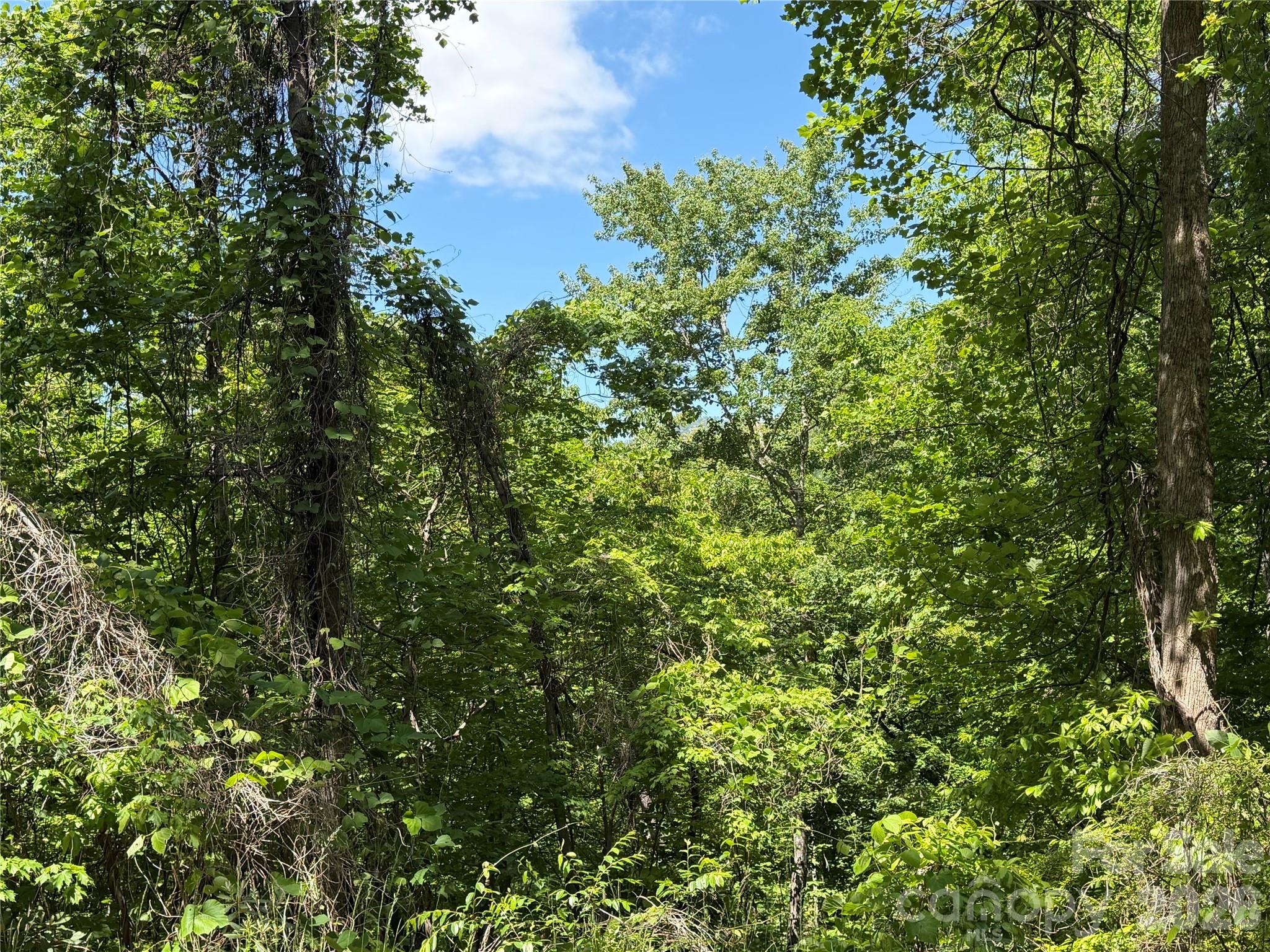 0 Buffalo Shoals Road Lake Lure NC 28746