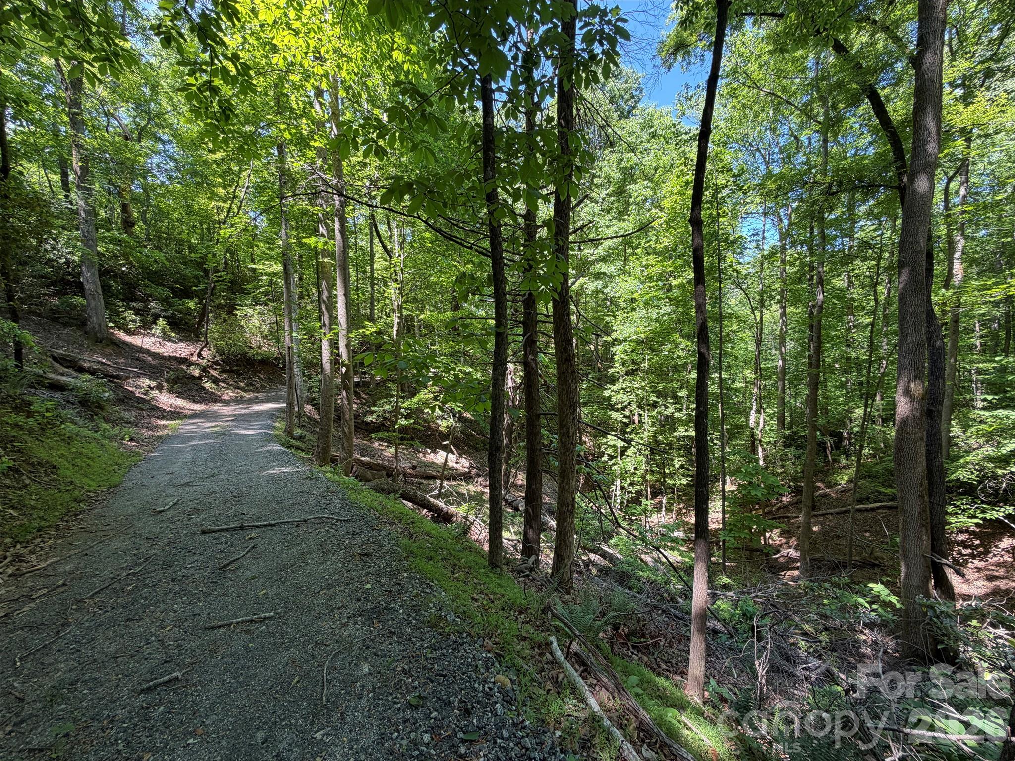 0 Buffalo Shoals Road Lake Lure NC 28746