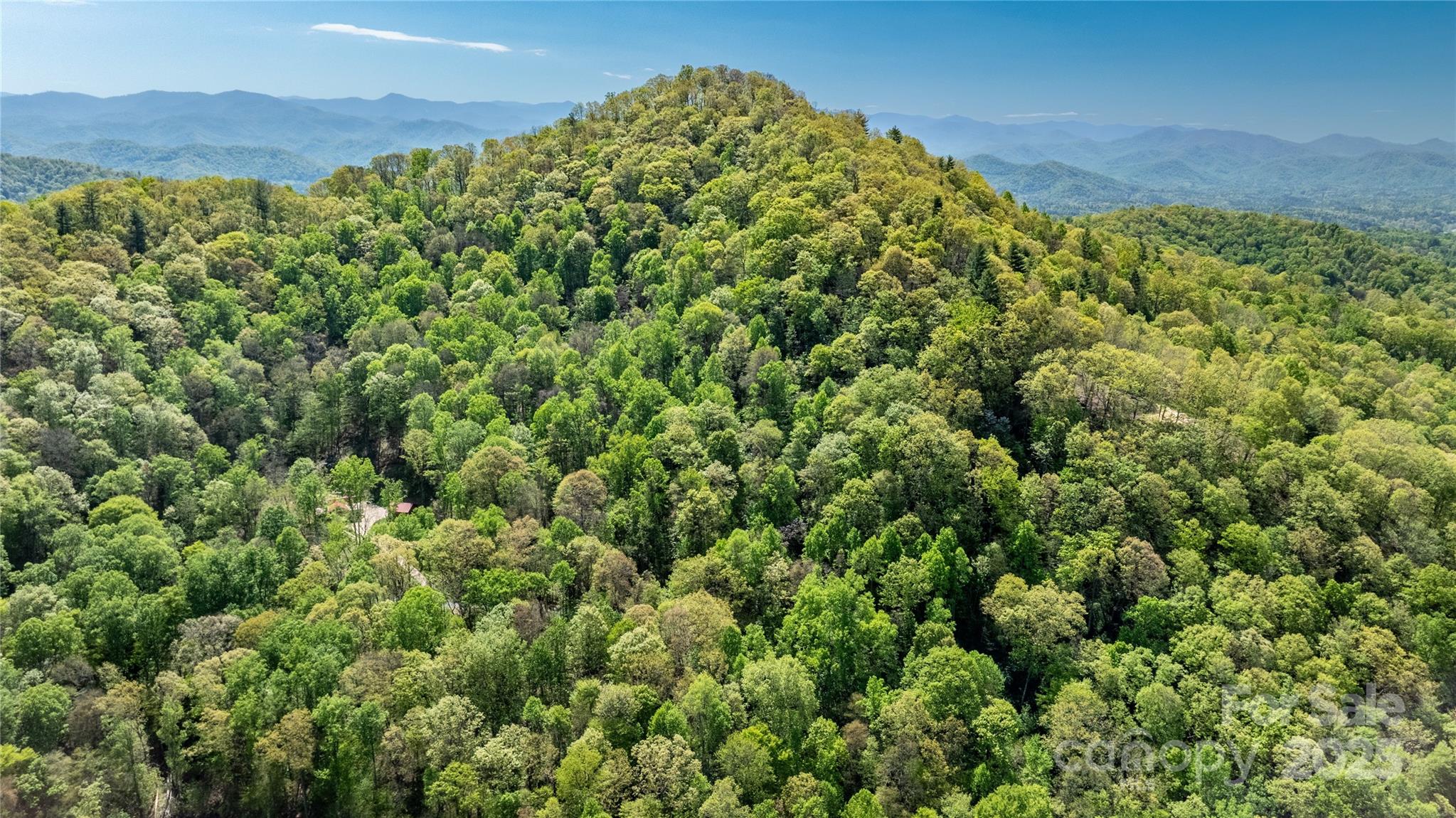 0000 Whispering Woods Path Mars Hill NC 28754