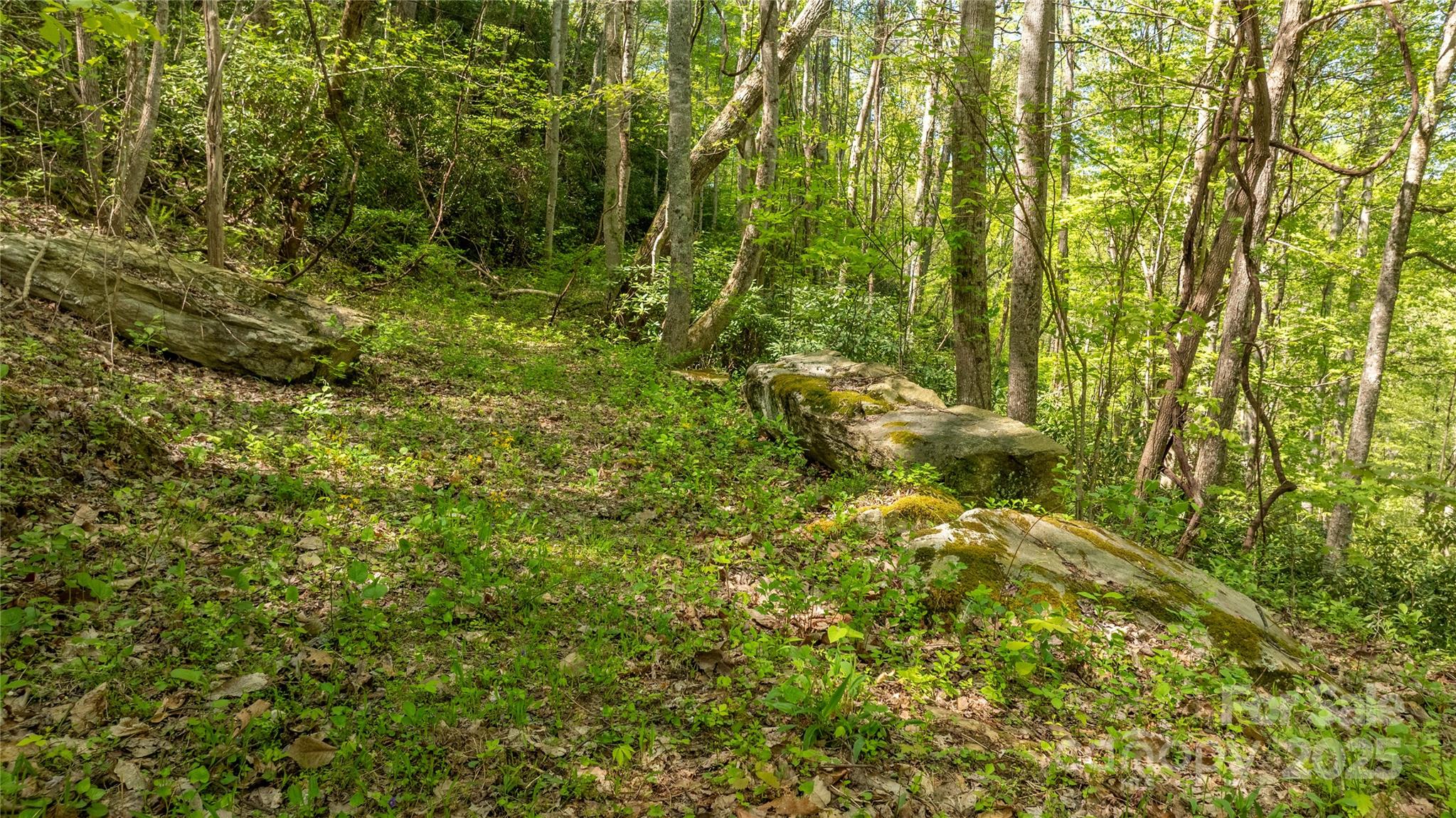 0000 Whispering Woods Path Mars Hill NC 28754