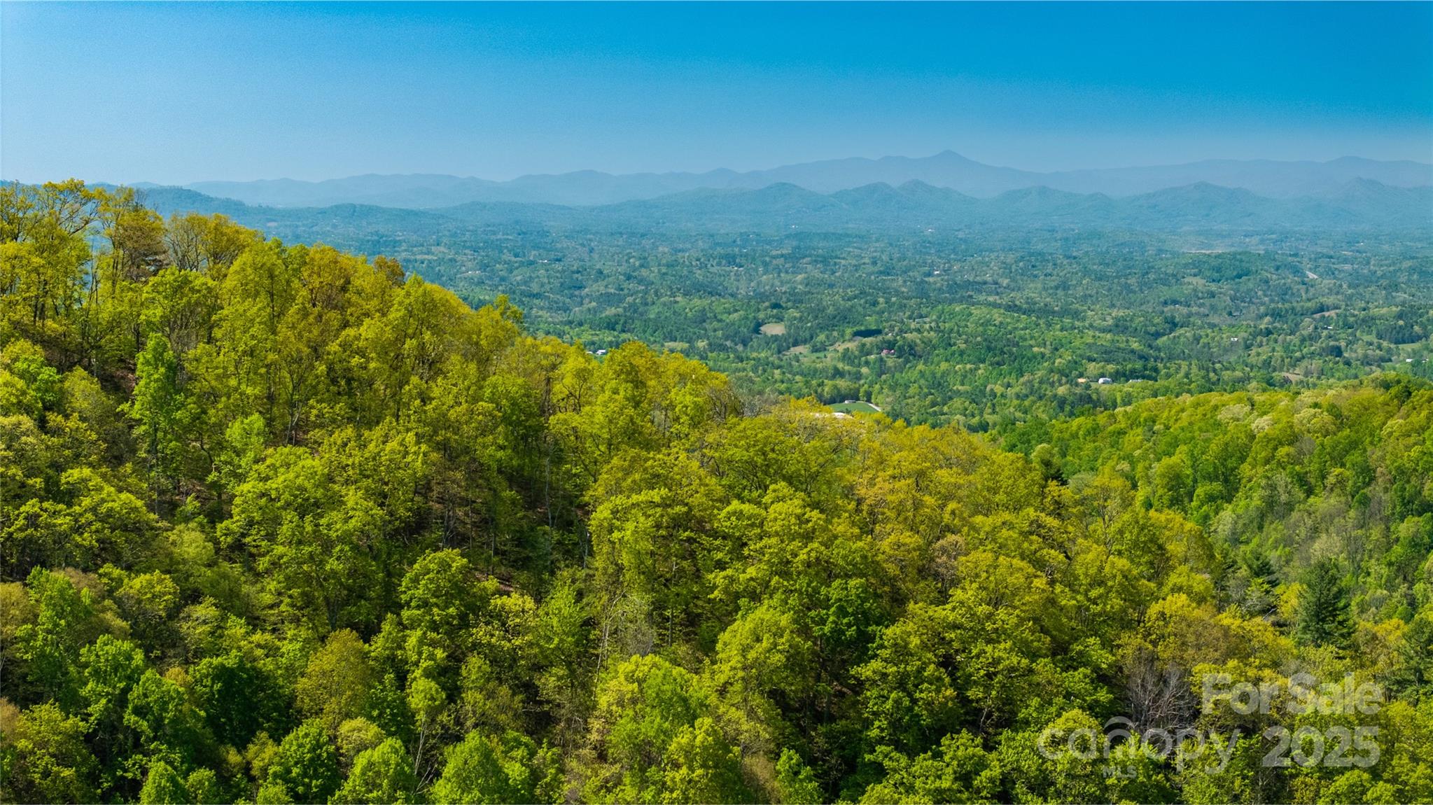 0000 Whispering Woods Path Mars Hill NC 28754