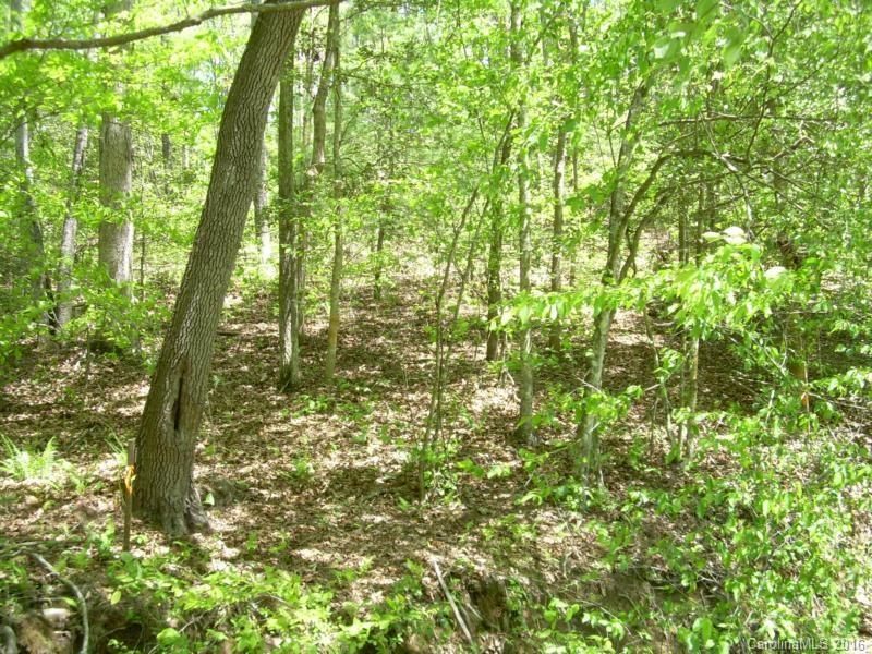 140 Adams Drive Brevard NC 28712
