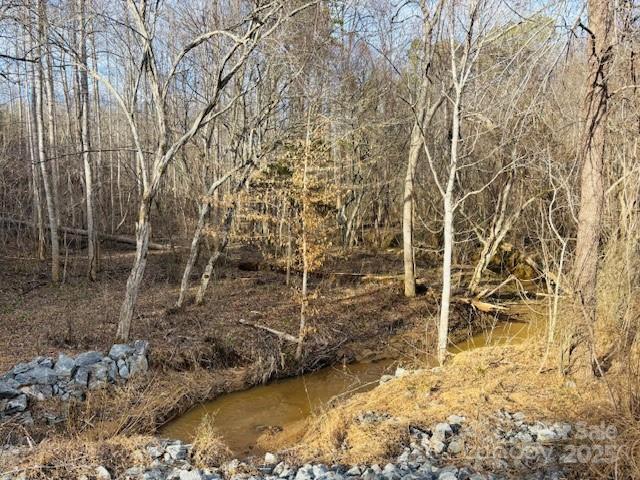 0 Clearwater Parkway Rutherfordton NC 28139